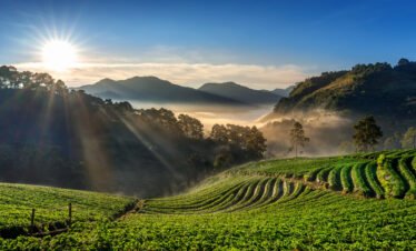 COORG TOUR PACKAGE