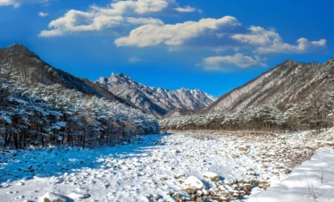 Affordable Summer Kashmir Package