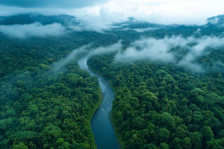 Amazon Adventure Tour Packages